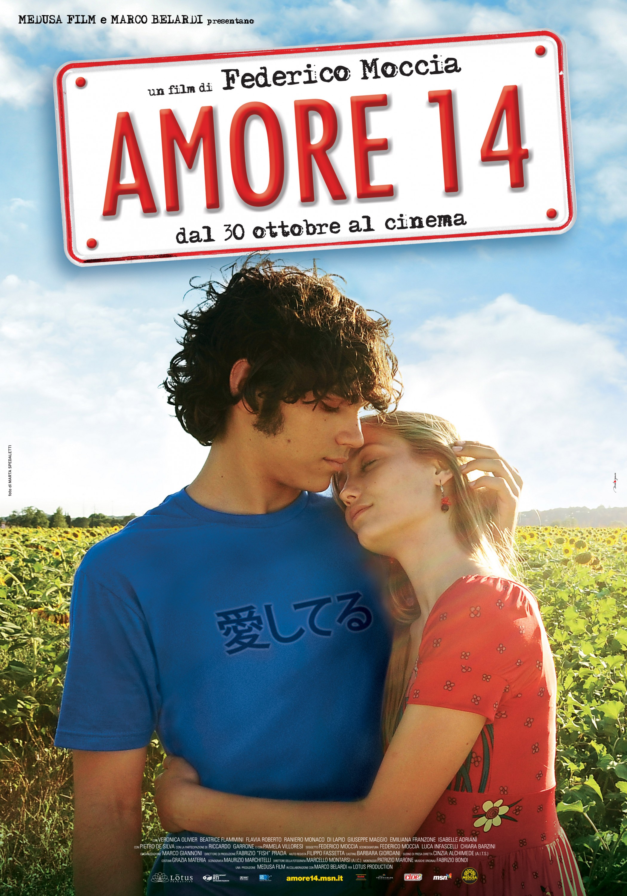 Mega Sized Movie Poster Image for Amore 14 