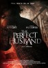 The Perfect Husband (2014) Thumbnail