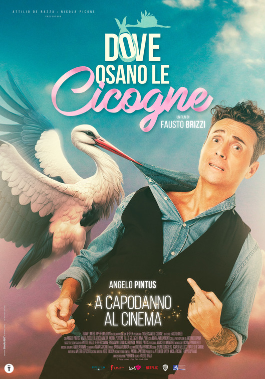 Dove osano le cicogne Movie Poster