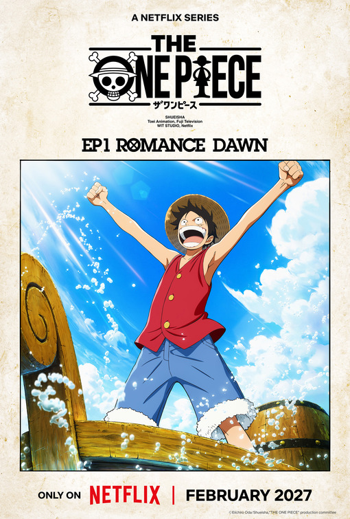 The One Piece Movie Poster