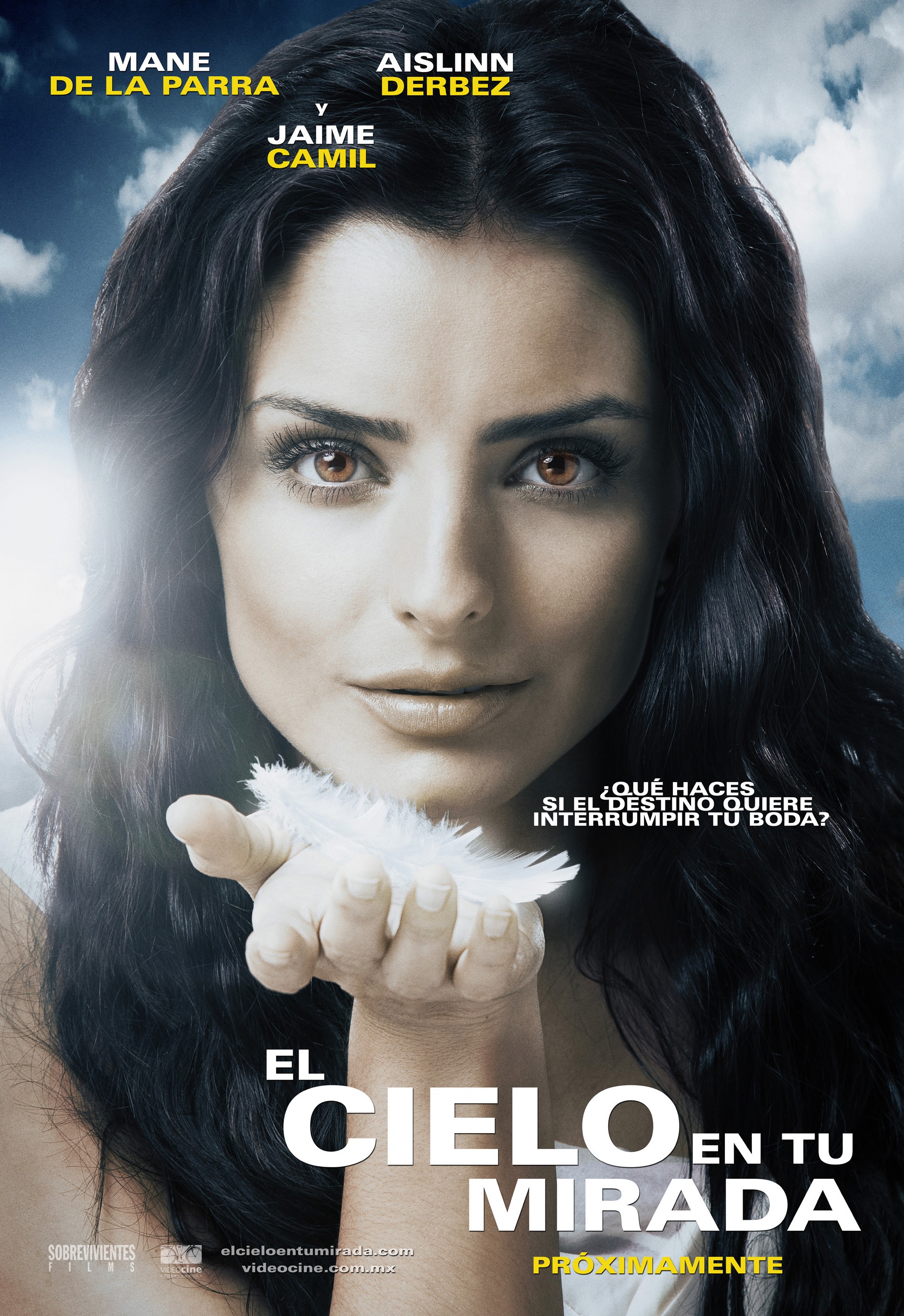 Mega Sized Movie Poster Image for El cielo en tu mirada (#1 of 3)
