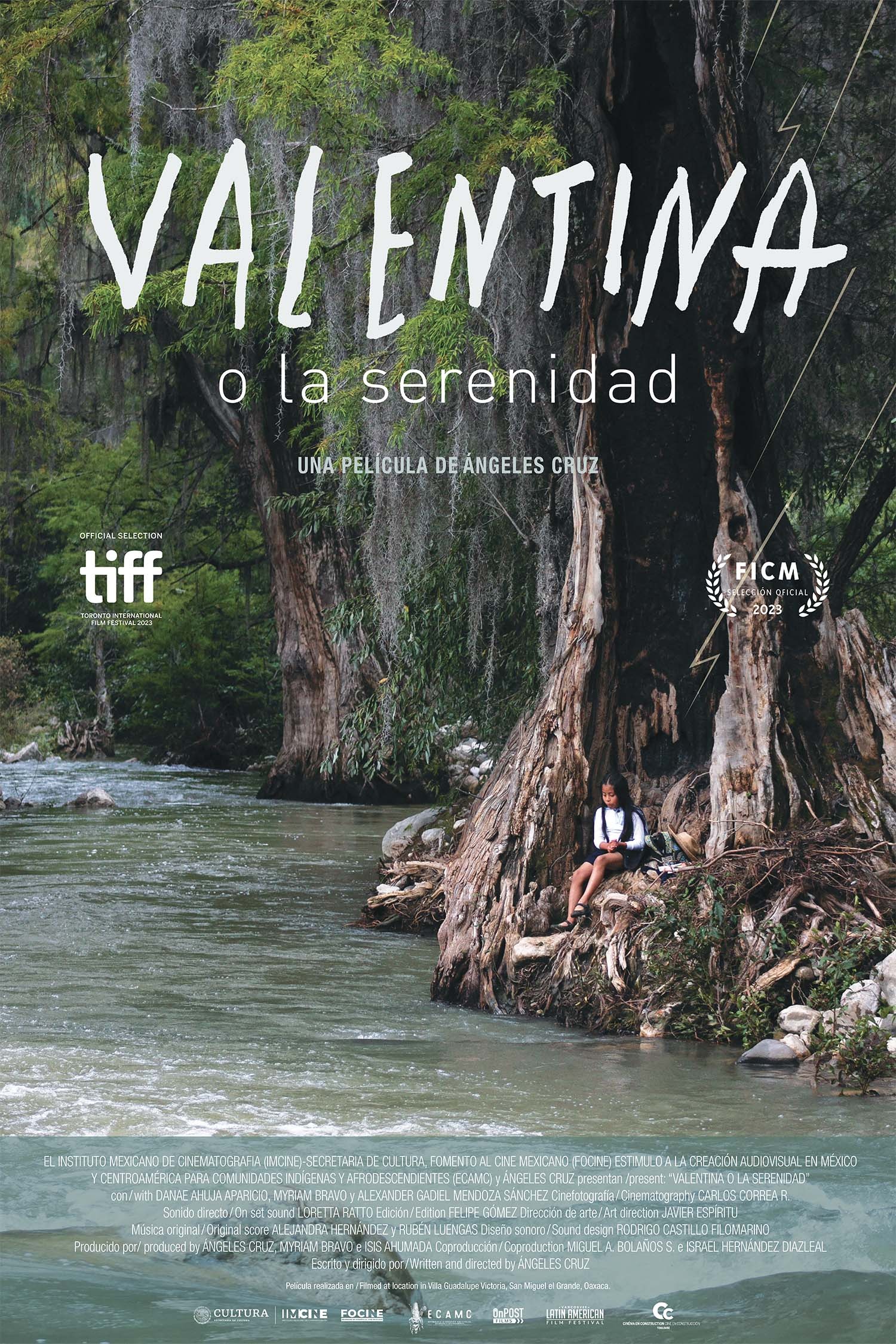 Mega Sized Movie Poster Image for Valentina o la serenidad 