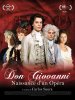 Io, Don Giovanni (2009) Thumbnail