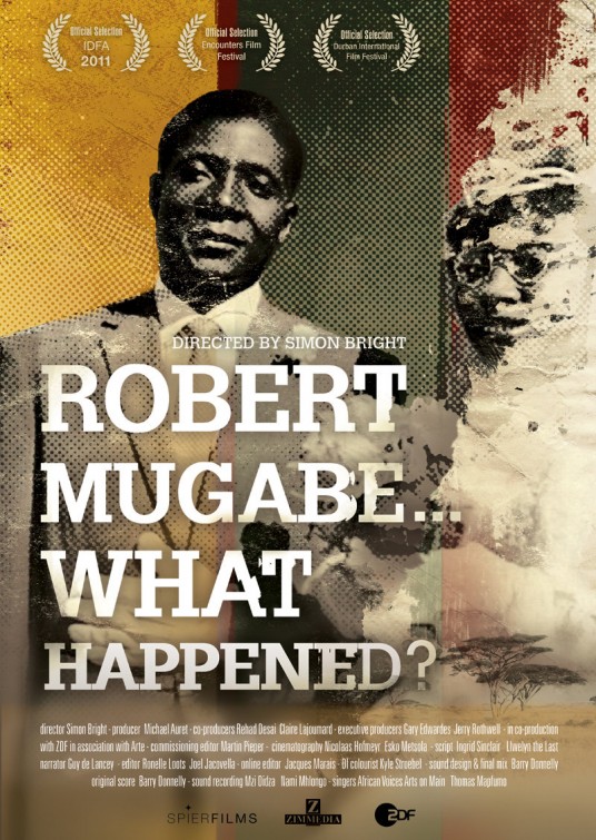 Robert Mugabe... What Happened? Movie Poster