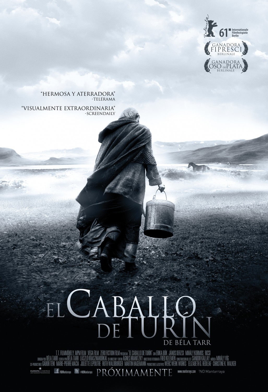 Extra Large Movie Poster Image for The Turin Horse (#1 of 2)