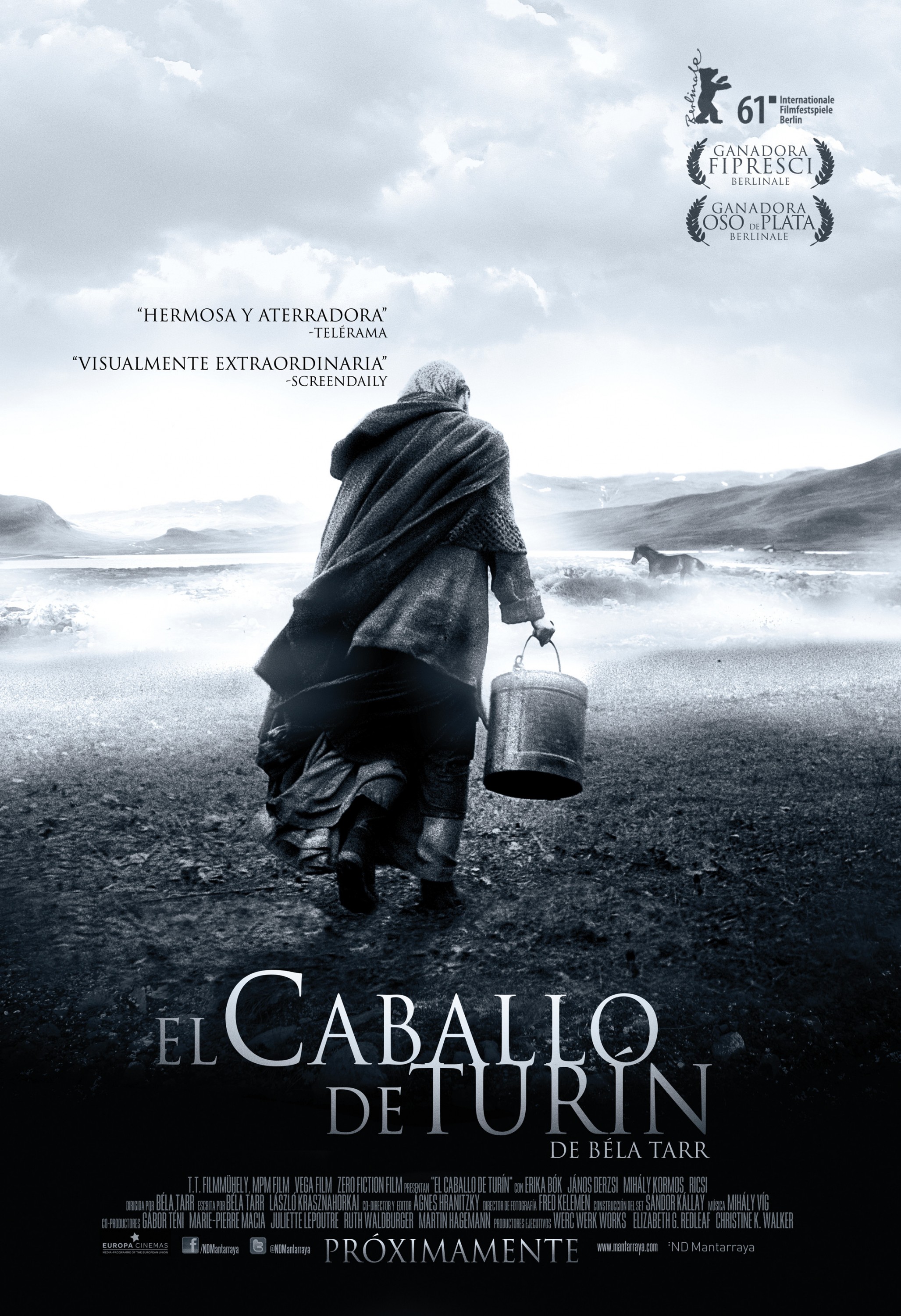 Mega Sized Movie Poster Image for The Turin Horse (#1 of 2)