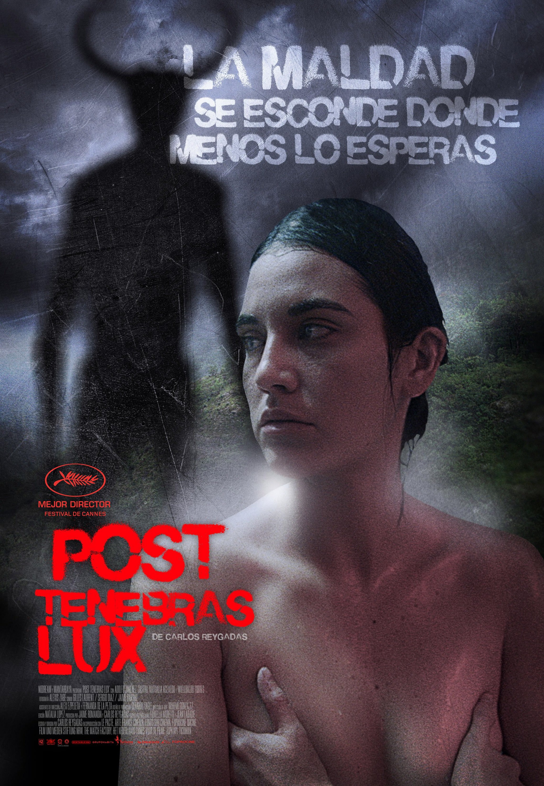 Mega Sized Movie Poster Image for Post Tenebras Lux (#4 of 6)