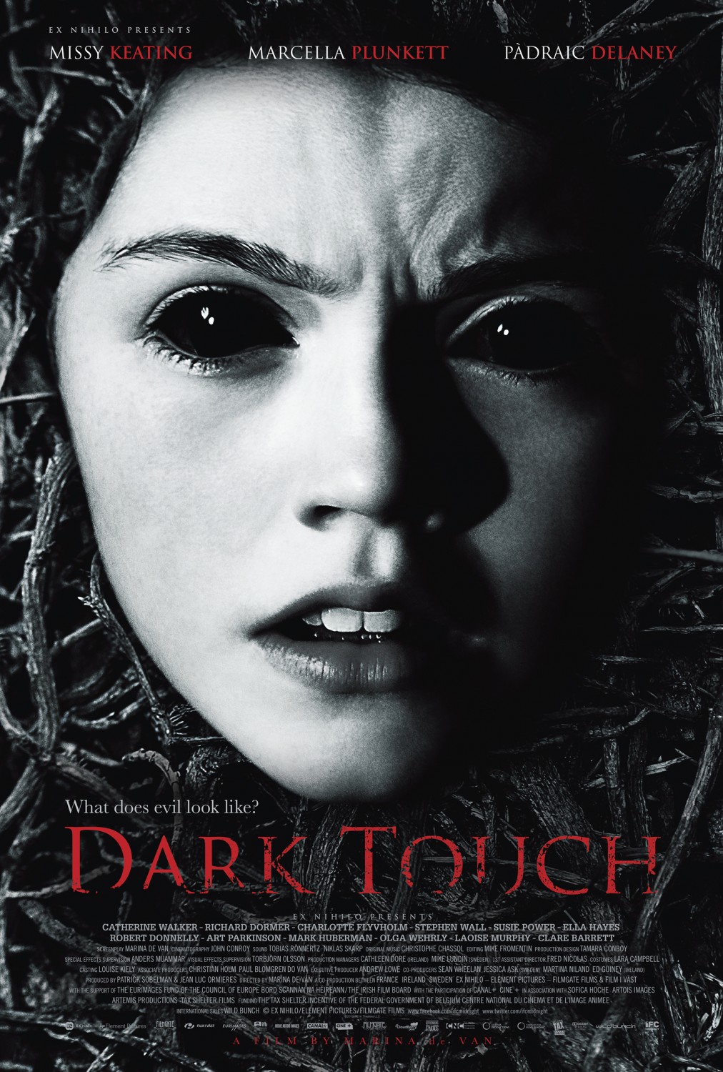 Extra Large Movie Poster Image for Dark Touch (#1 of 3)