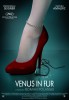 Venus in Fur (2013) Thumbnail