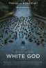 White God (2014) Thumbnail