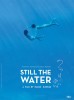 Still the Water (2014) Thumbnail