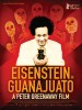 Eisenstein in Guanajuato (2015) Thumbnail