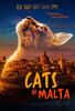 Cats of Malta (2023) Thumbnail