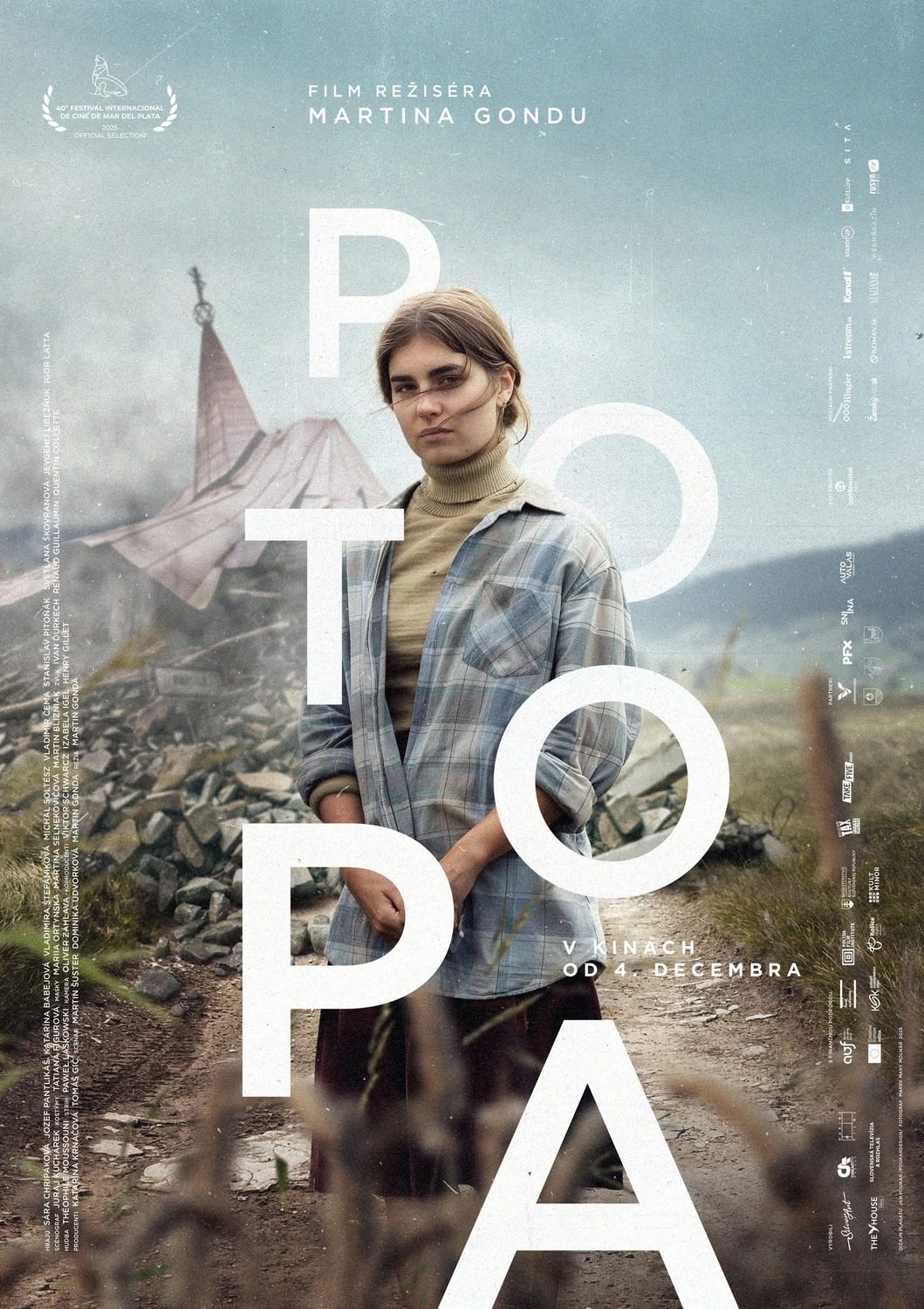 Extra Large Movie Poster Image for Potopa 