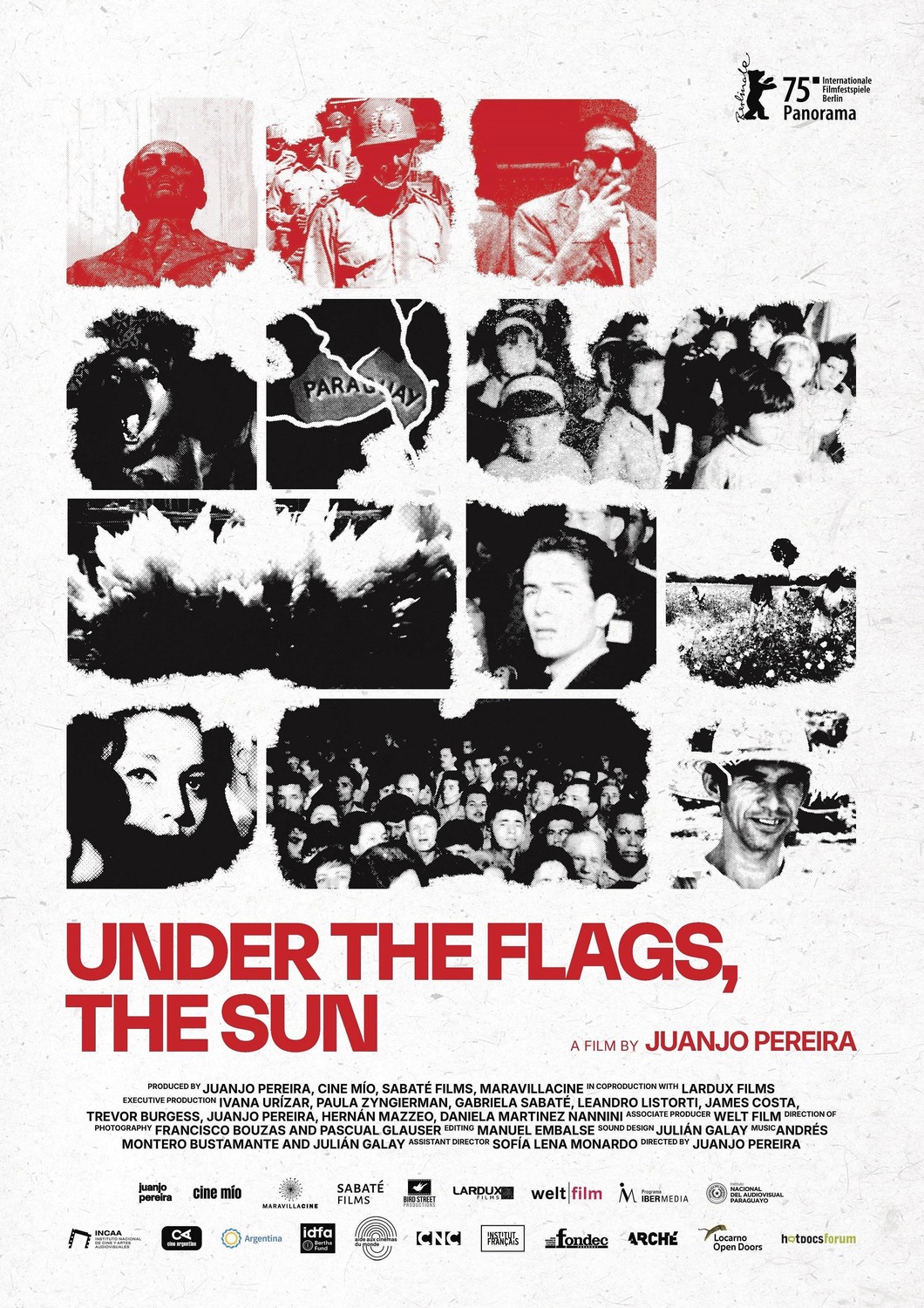 Extra Large Movie Poster Image for Under the Flags, the Sun 