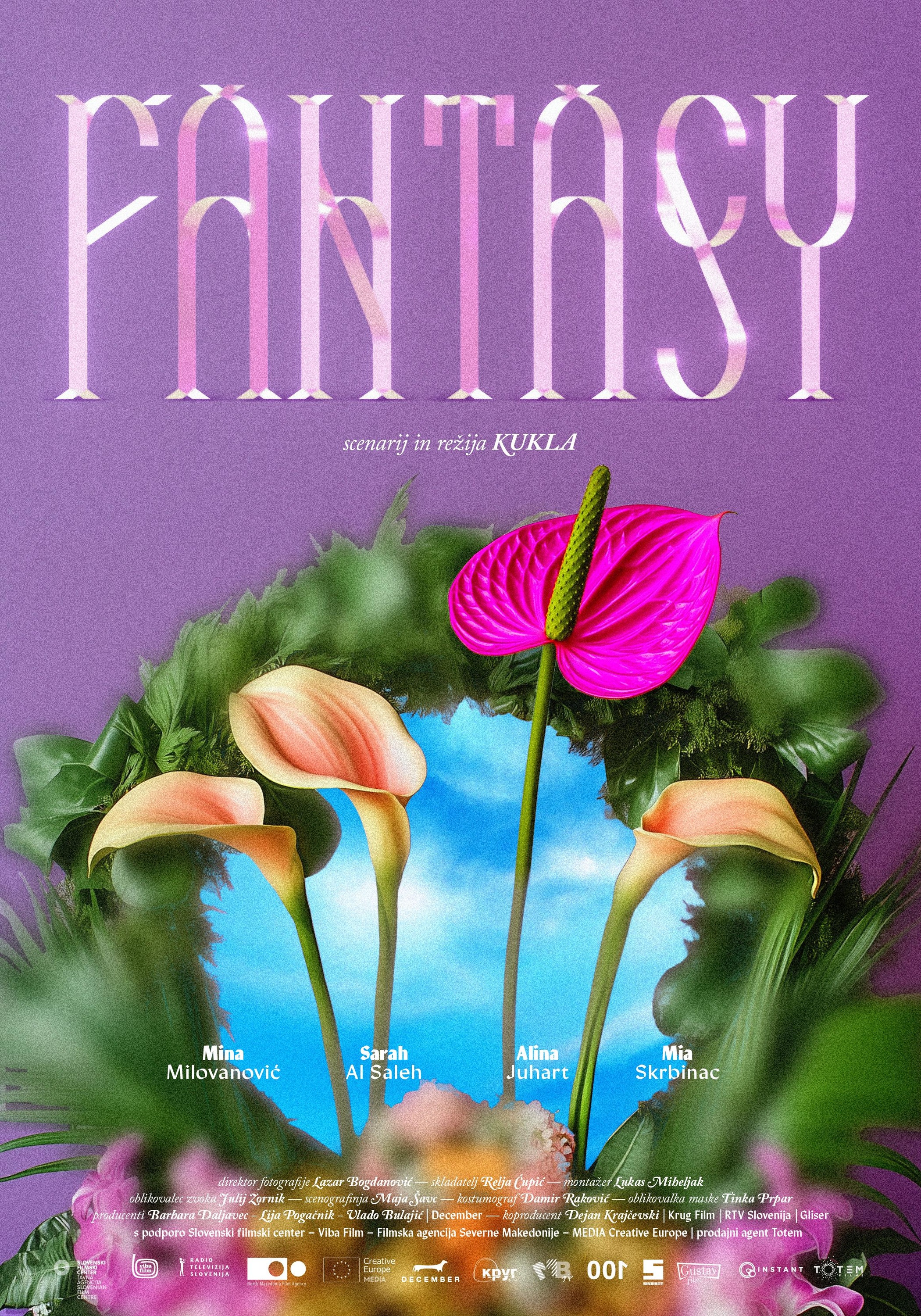 Mega Sized Movie Poster Image for Fantasy (#1 of 2)