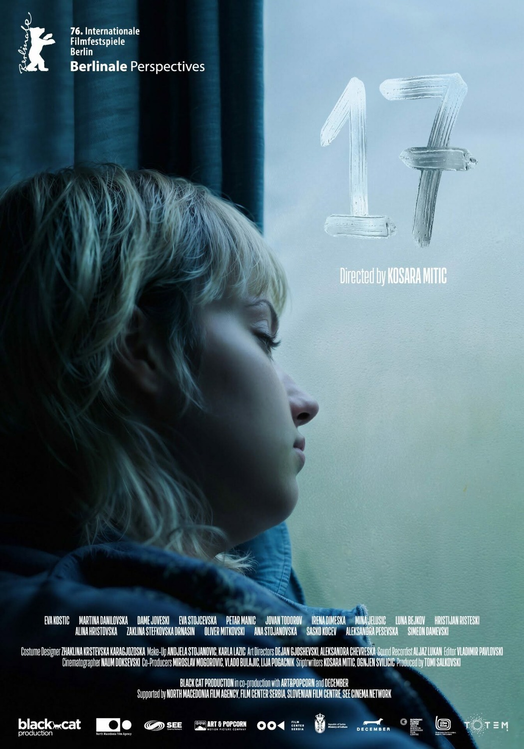 Extra Large Movie Poster Image for 17 