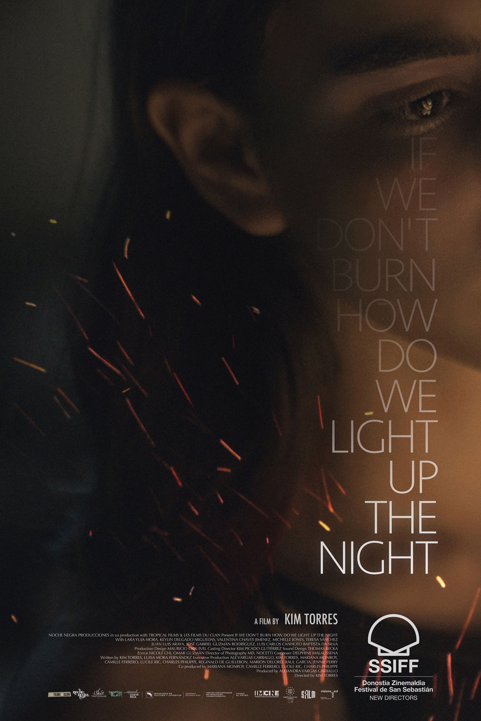 Mega Sized Movie Poster Image for Si no ardemos, cómo iluminar la noche (#2 of 2)