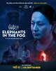Elephants in the Fog (2026) Thumbnail