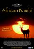 African Bambi (2008) Thumbnail