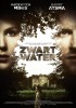 Zwart Water (2010) Thumbnail