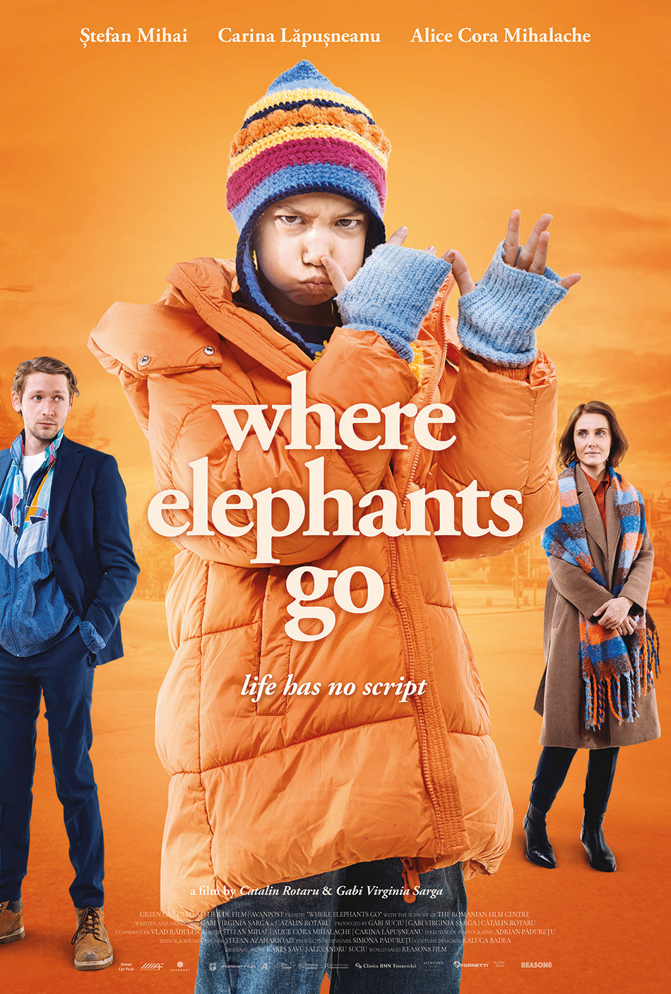 Extra Large Movie Poster Image for Where Elephants Go 