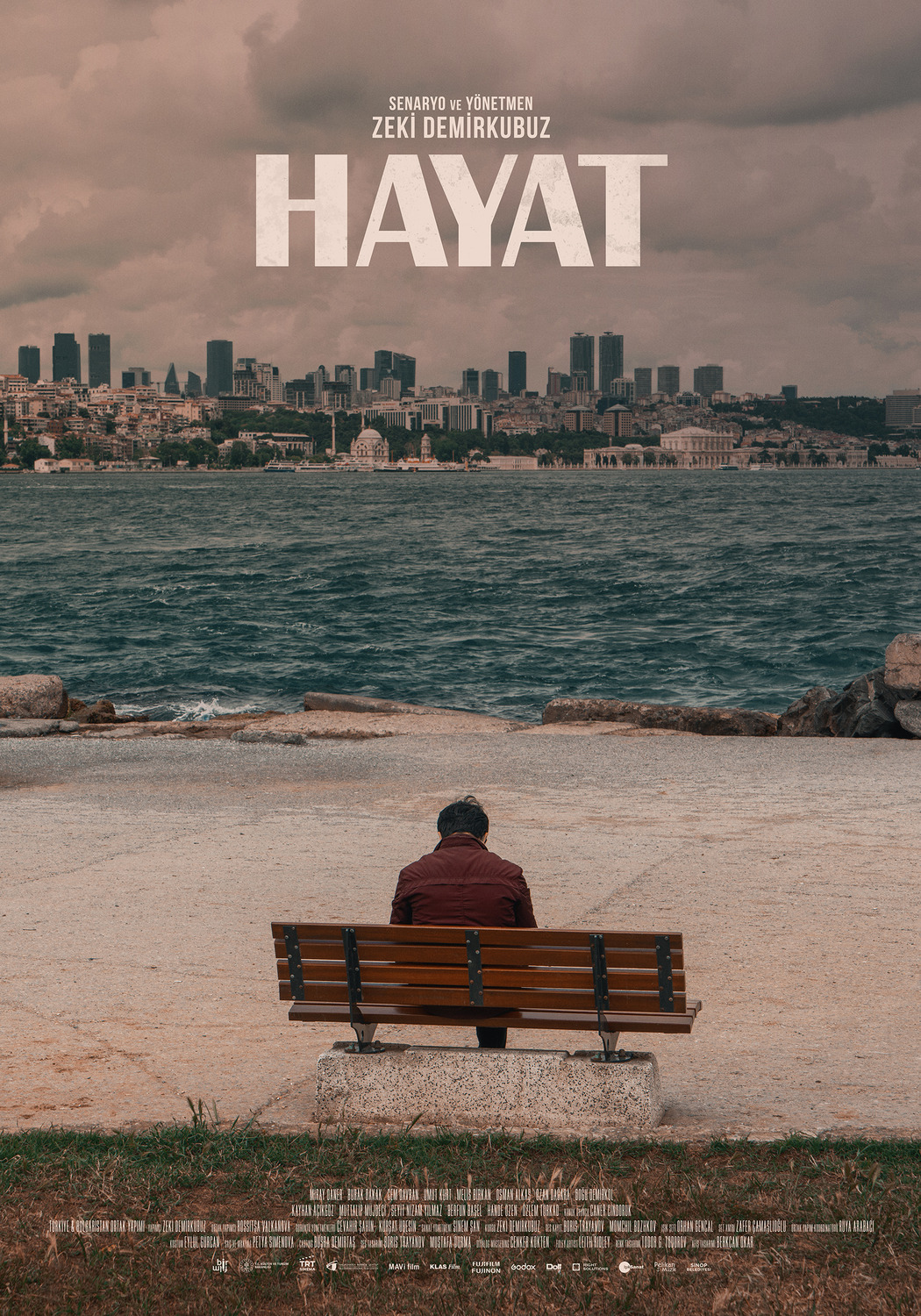 Extra Large Movie Poster Image for Hayat (#3 of 3)