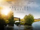 About Dry Grasses (2023) Thumbnail
