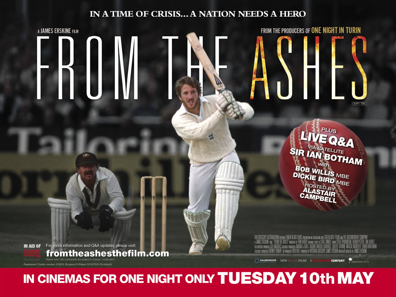 Extra Large Movie Poster Image for From the Ashes 