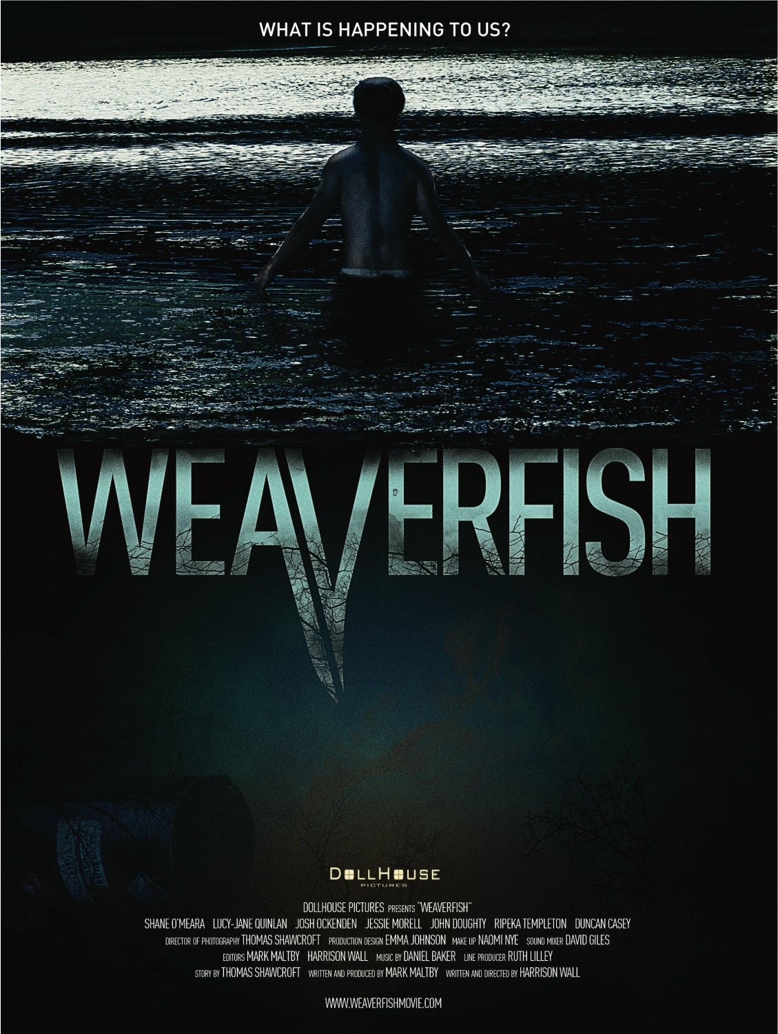 Extra Large Movie Poster Image for Weaverfish 
