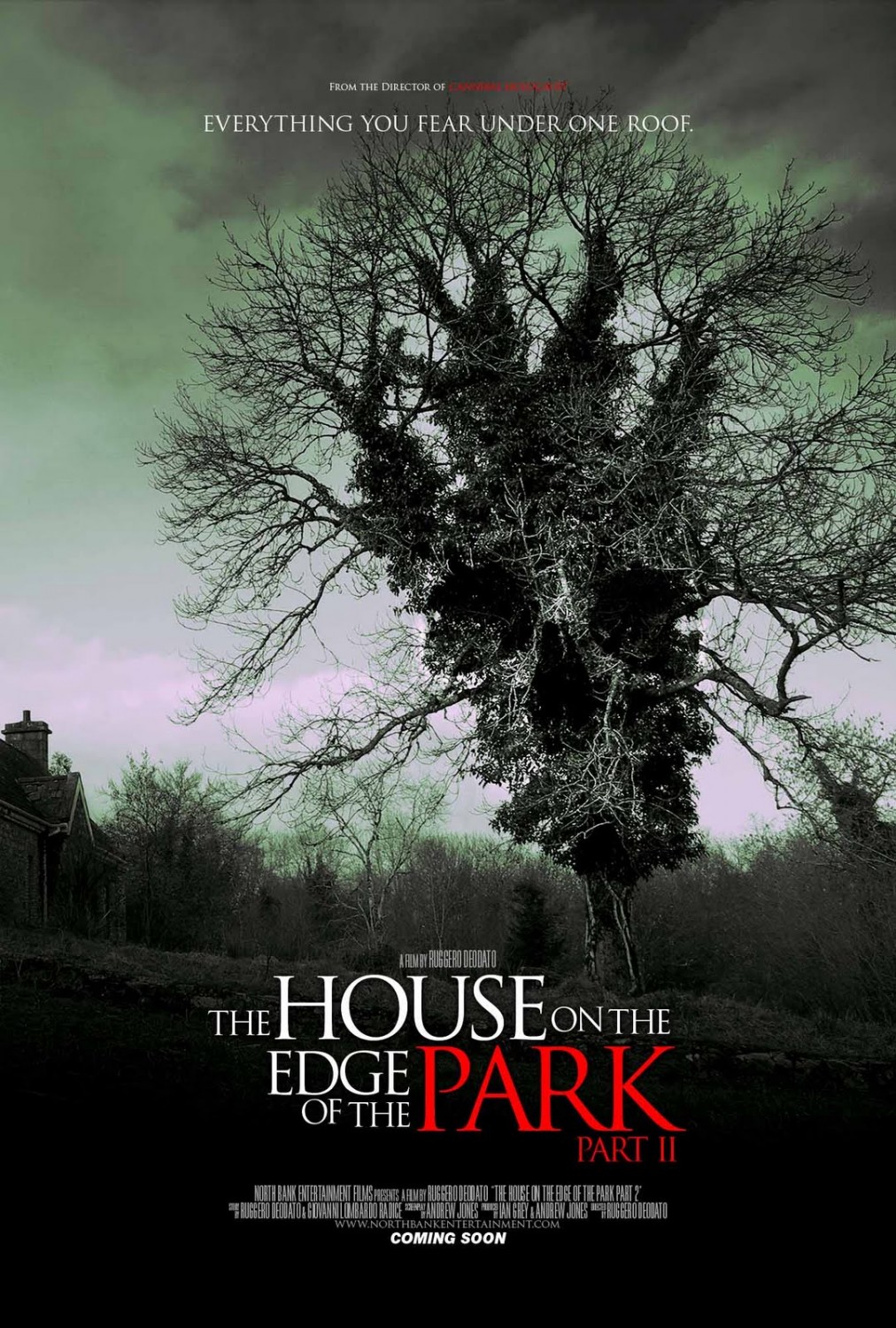 Extra Large Movie Poster Image for The House on the Edge of the Park Part II