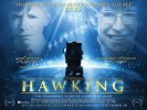 Hawking (2013) Thumbnail