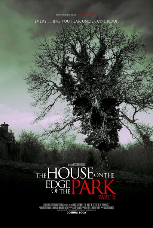 The House on the Edge of the Park Part II Movie Poster