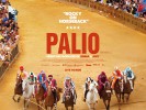 Palio (2015) Thumbnail