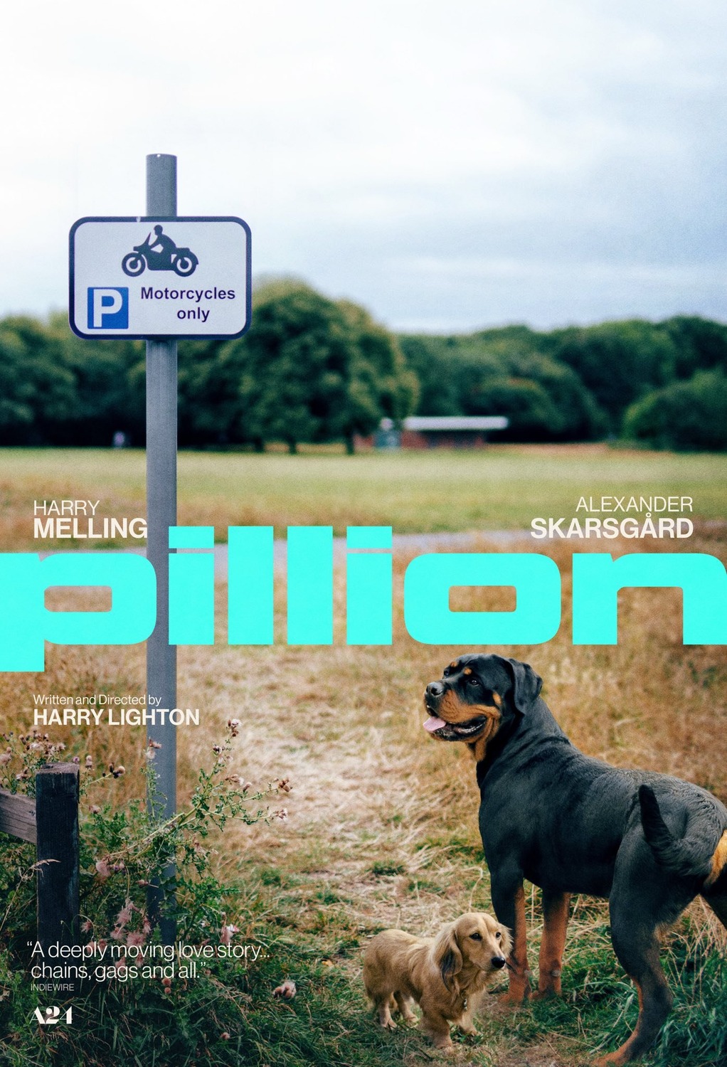 Extra Large Movie Poster Image for Pillion (#3 of 6)