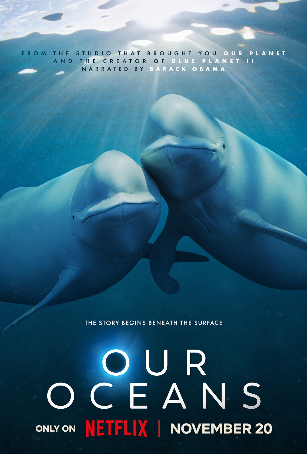 Extra Large TV Poster Image for Our Oceans 