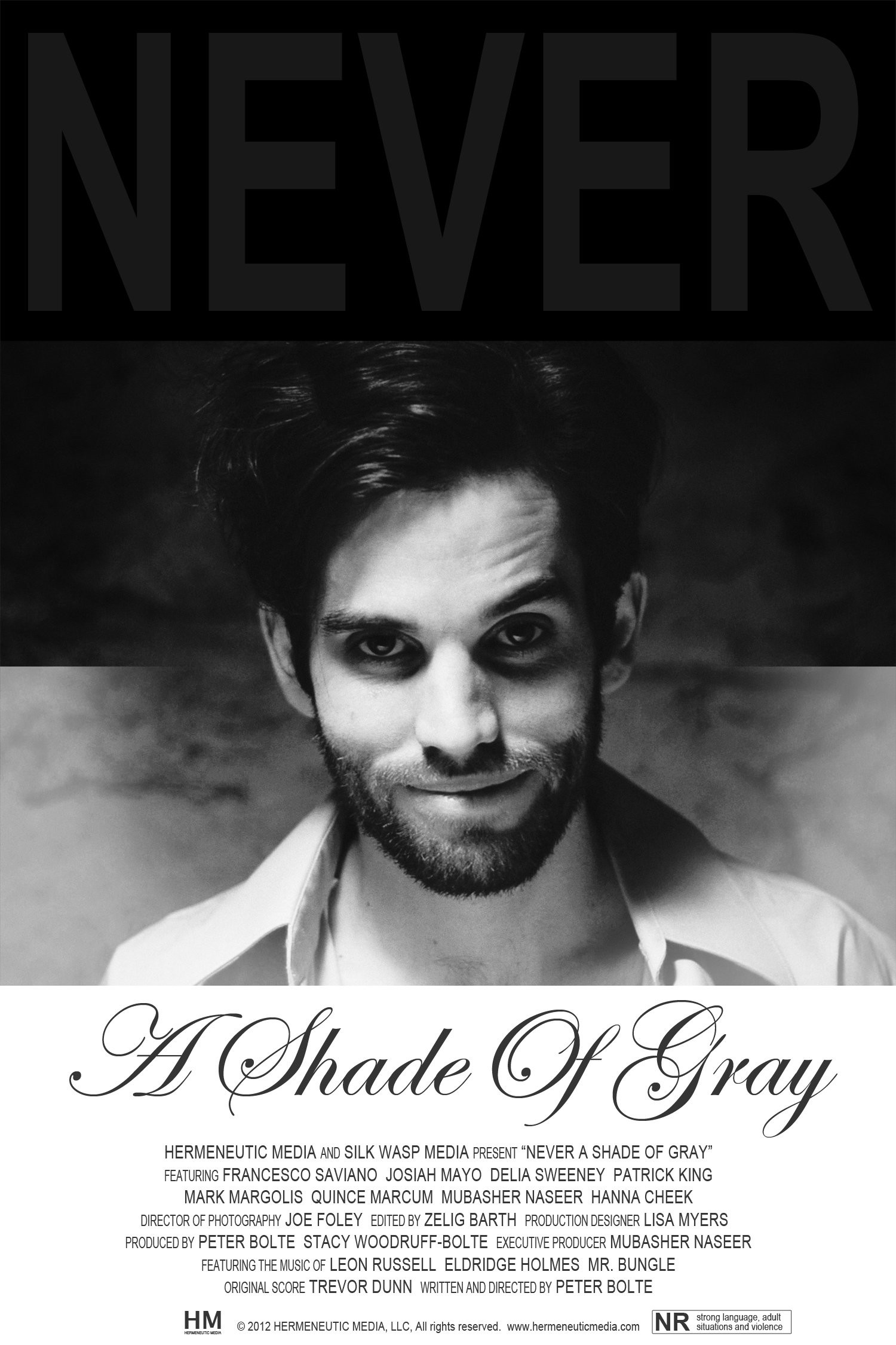 Mega Sized Movie Poster Image for Never a Shade of Gray