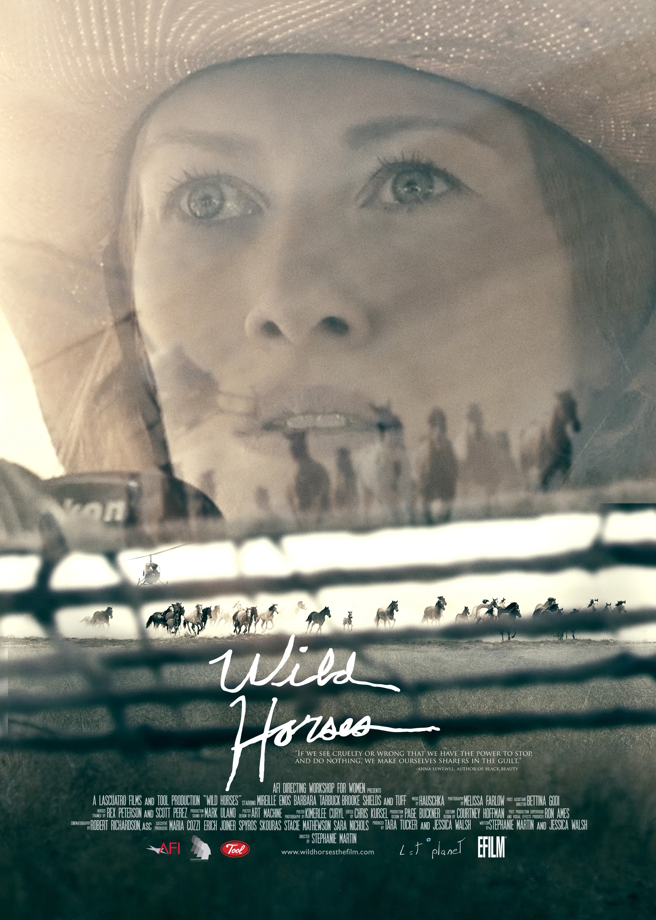 Mega Sized Movie Poster Image for Wild Horses