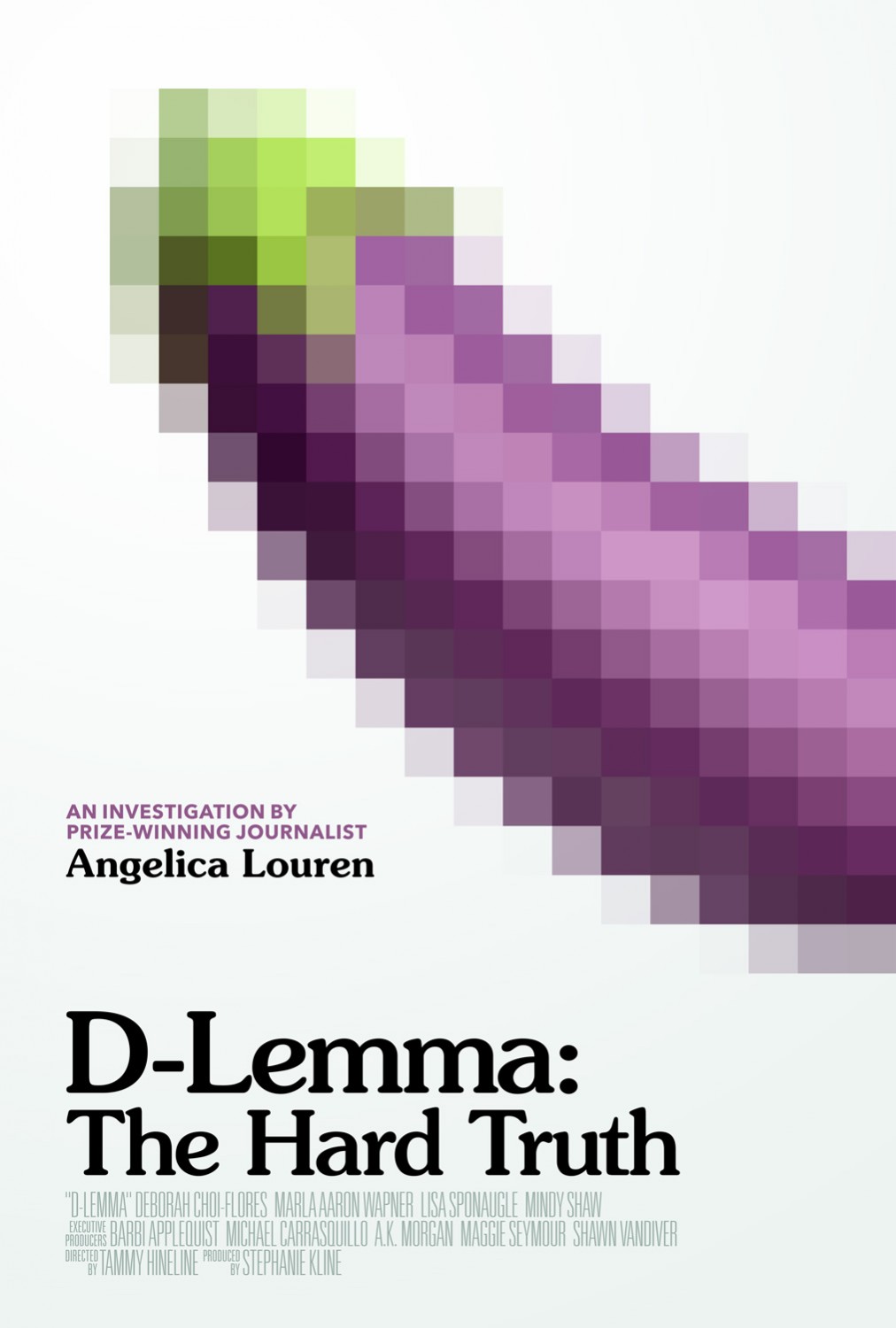 Extra Large Movie Poster Image for D-Lemma: The Hard Truth