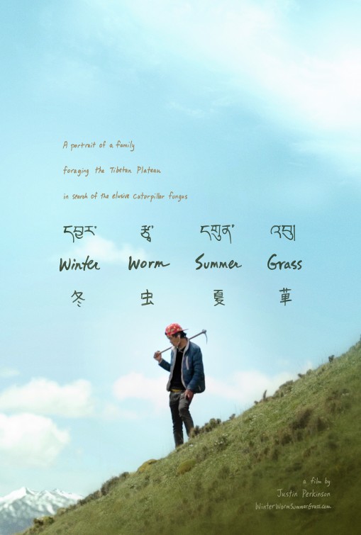 Winter Worm Summer Grass Short Film Poster