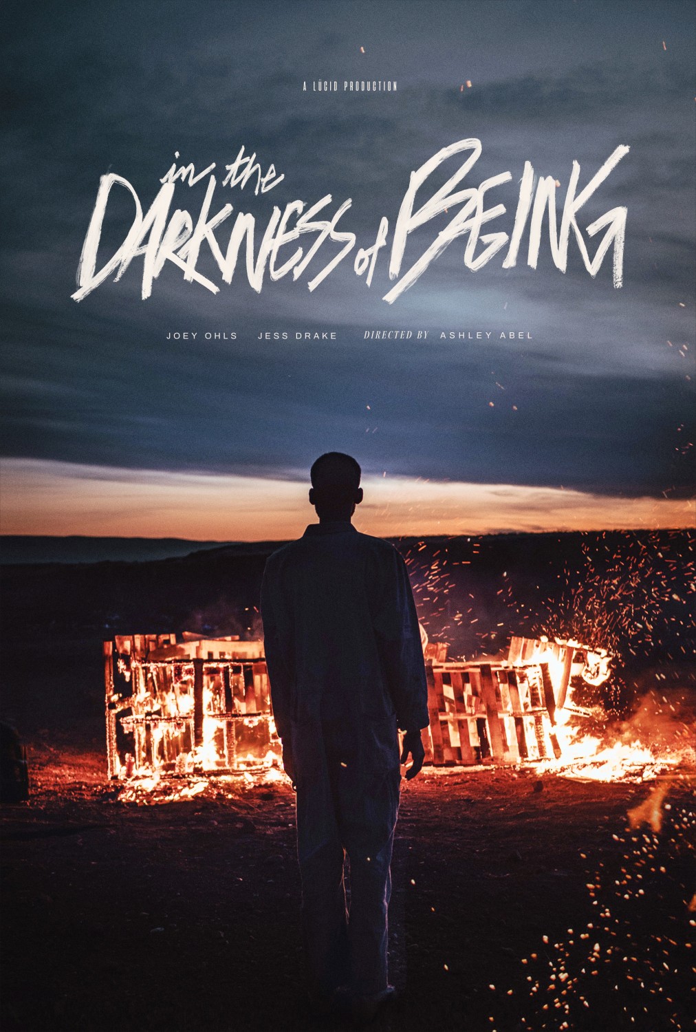 Extra Large Movie Poster Image for In the Darkness of Being