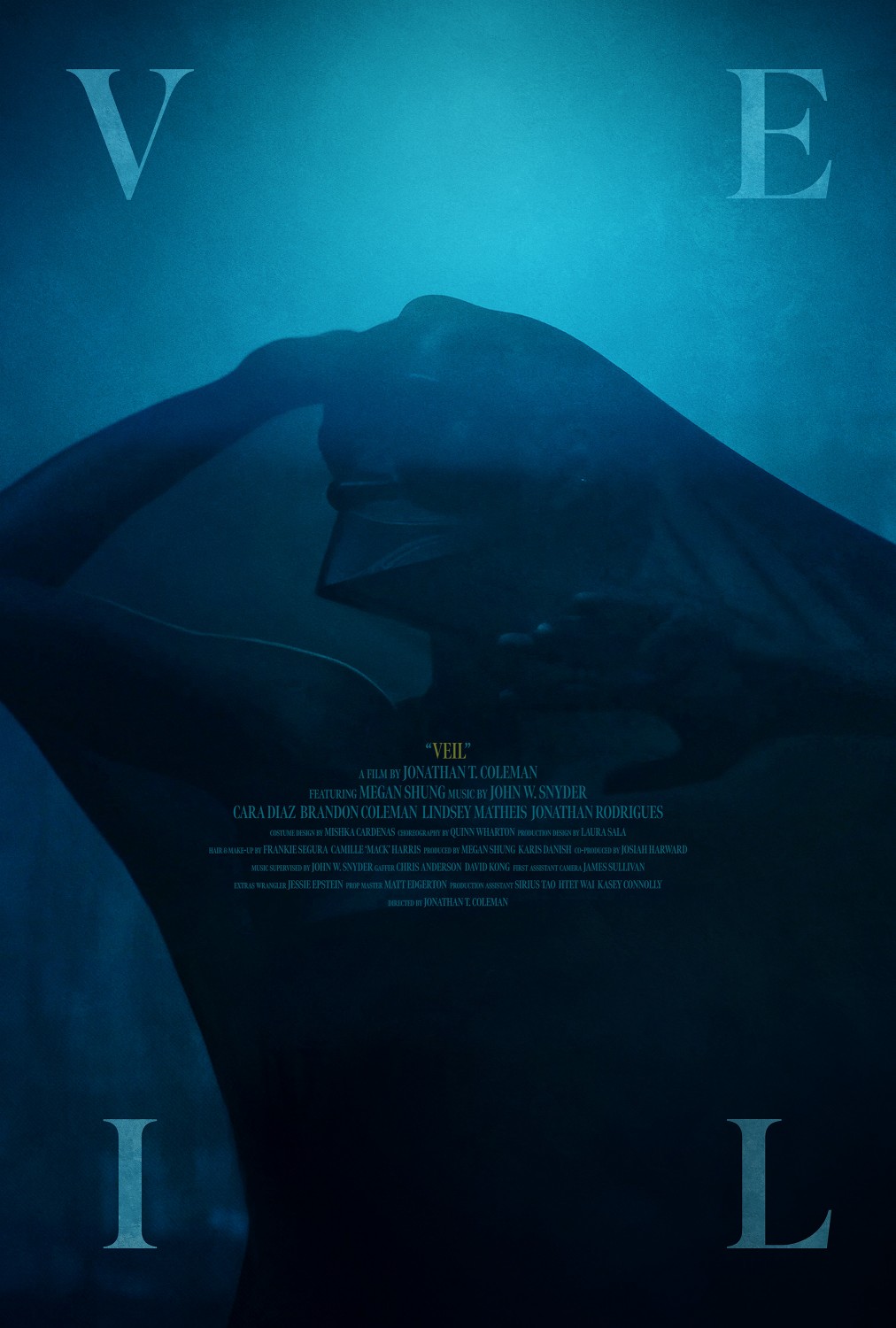 Extra Large Movie Poster Image for Veil