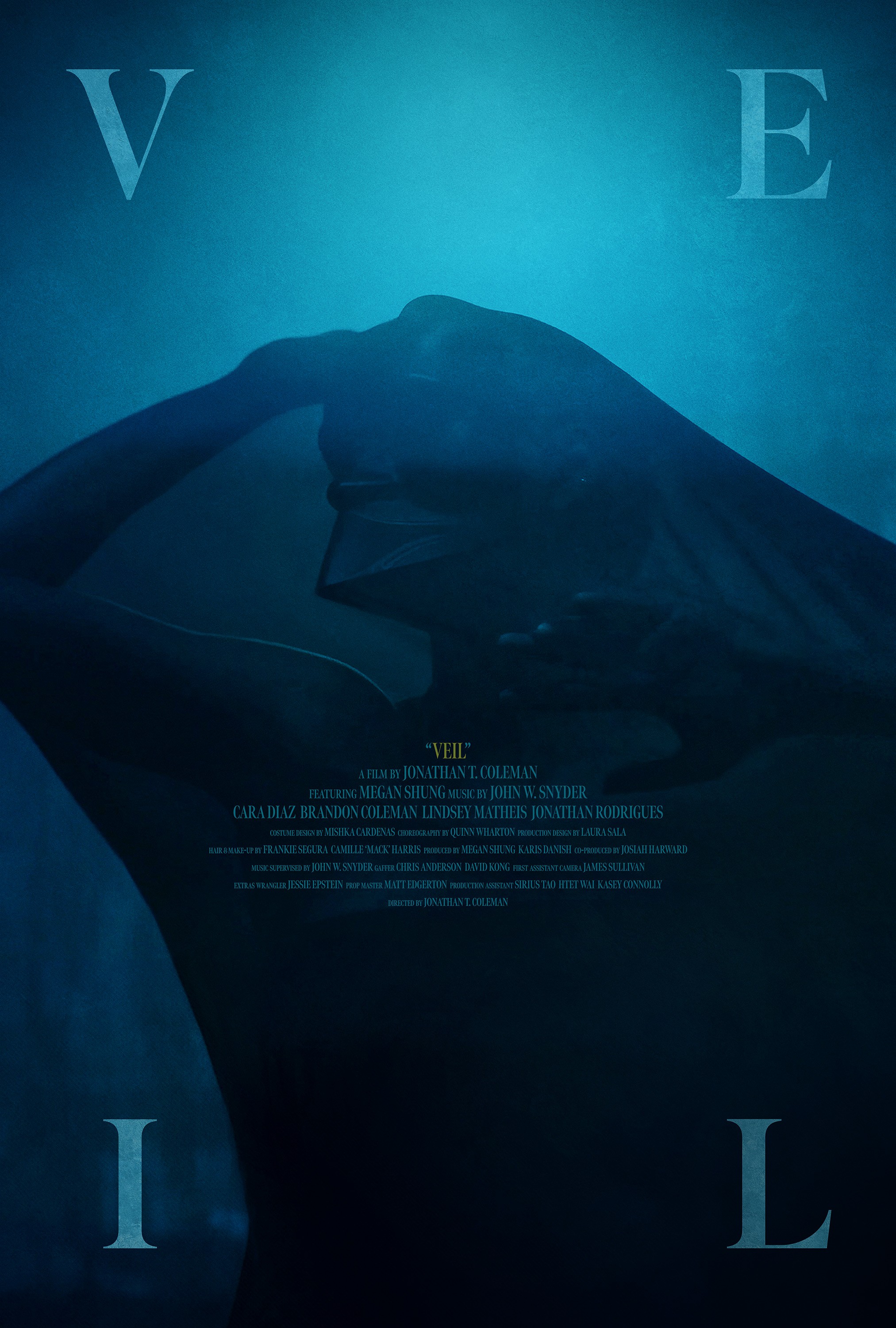 Mega Sized Movie Poster Image for Veil