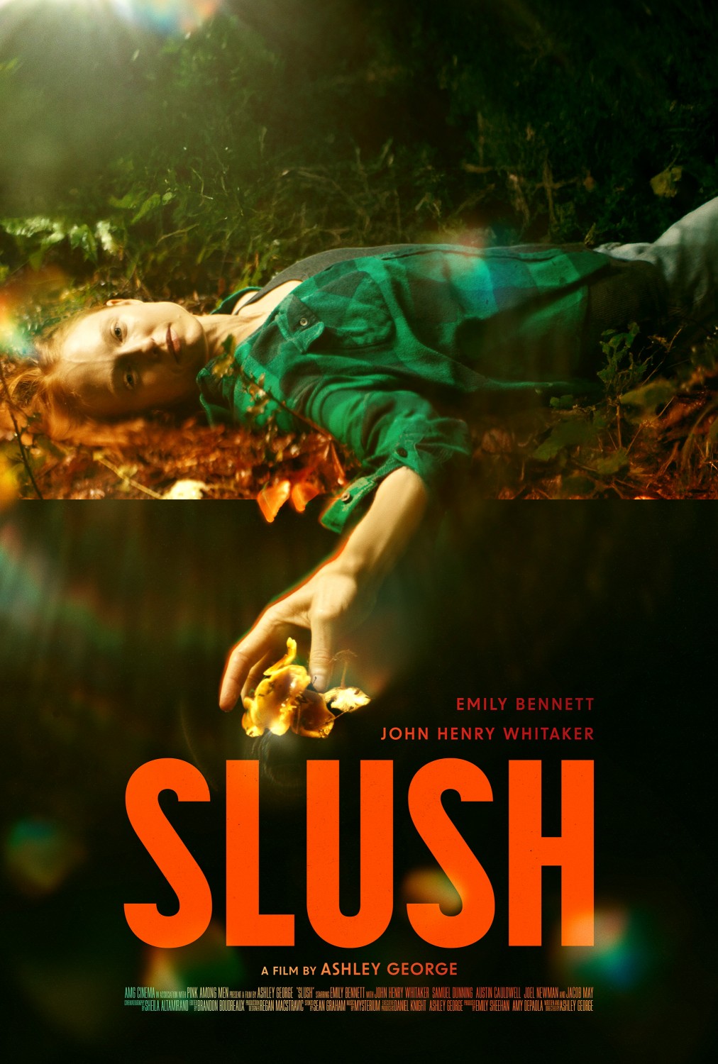 Extra Large Movie Poster Image for Slush