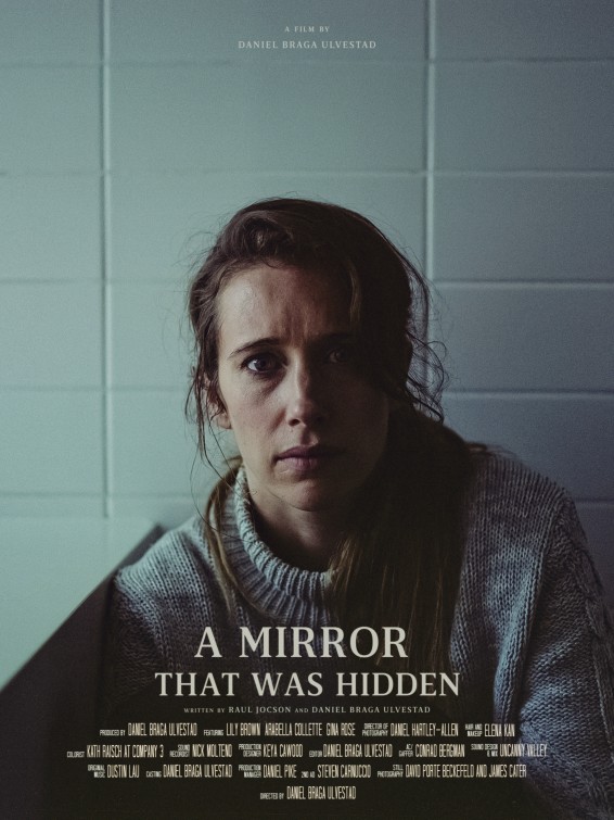 A Mirror That Was Hidden Short Film Poster