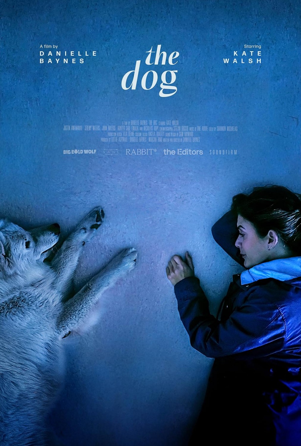 Extra Large Movie Poster Image for The Dog