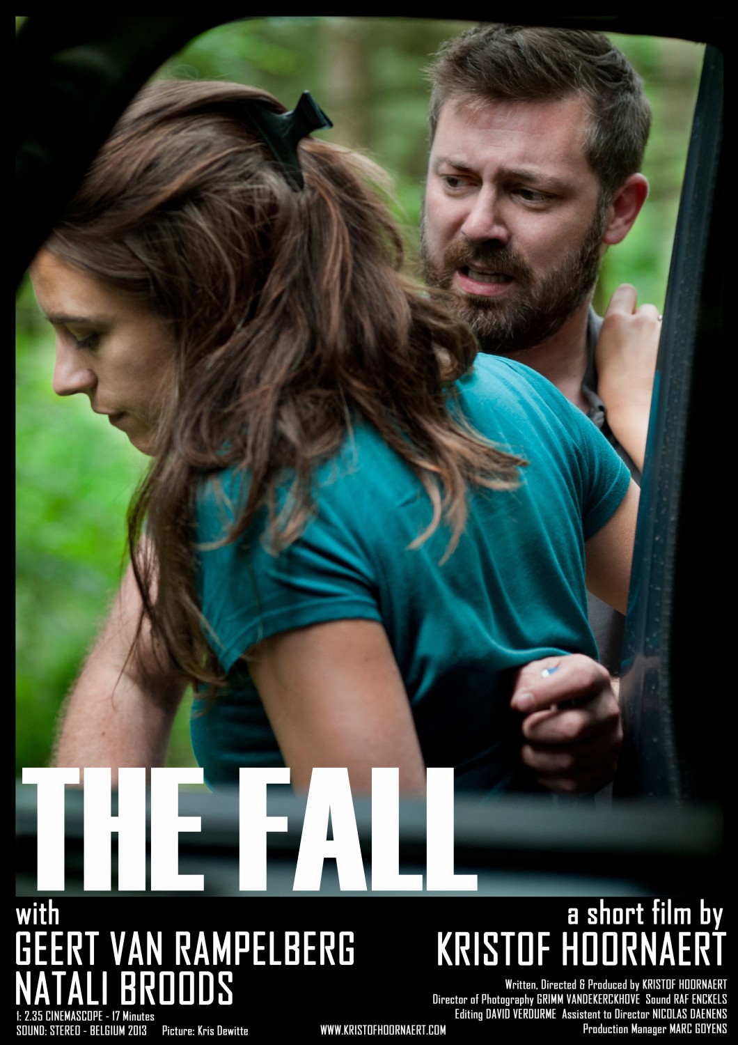 Extra Large Movie Poster Image for The Fall