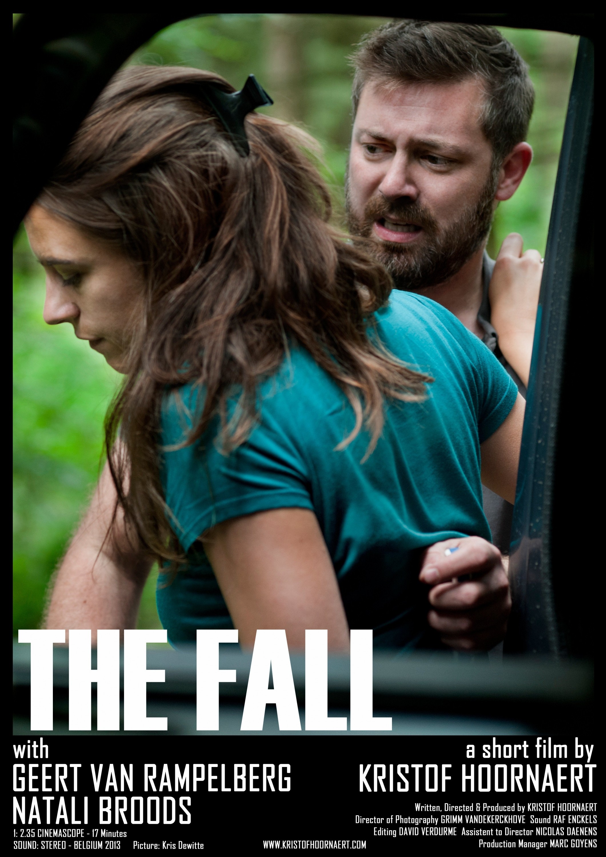 Mega Sized Movie Poster Image for The Fall