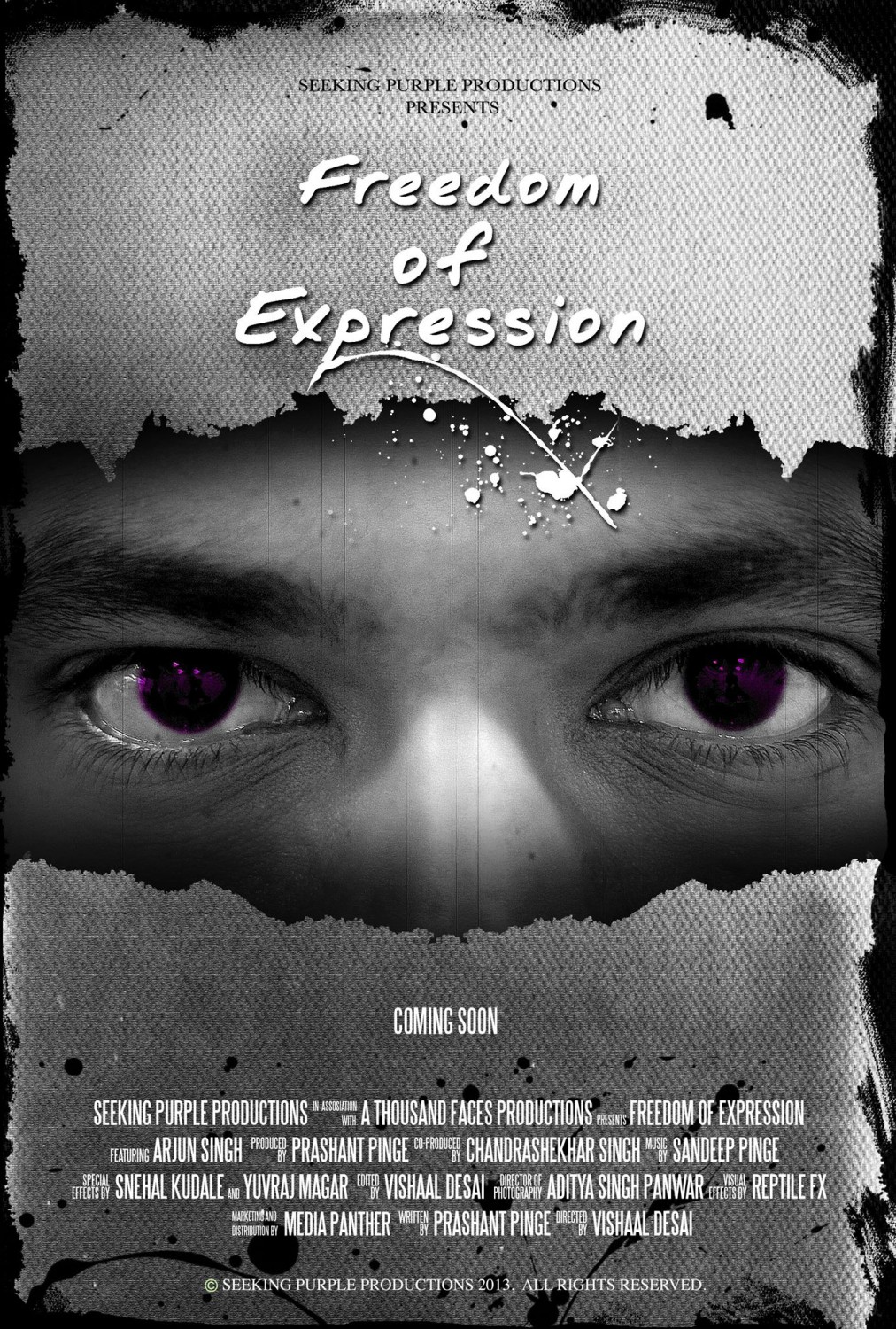 Extra Large Movie Poster Image for Freedom of Expression