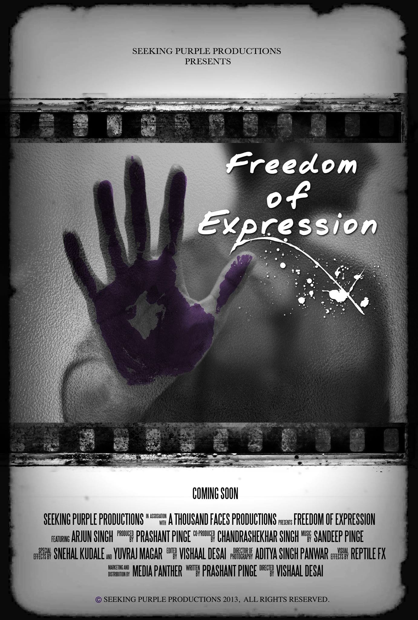 Mega Sized Movie Poster Image for Freedom of Expression